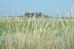 dscf0083
